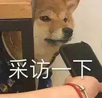 就,不要裸聊,好吗