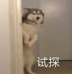 本期新增1w个粤b指标你中签了吗而粤b竞价出炉,个人均价是......