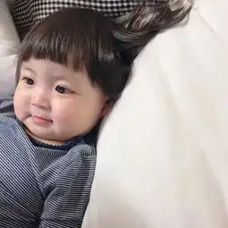 每日头像