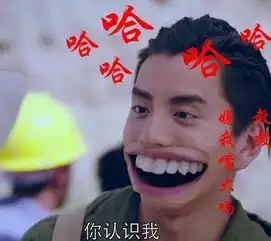 邓超岳云鹏领衔林更新迟帅胡歌王大陆被网友恶搞成瘾微博已沦陷