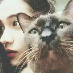 女生自拍照同一人