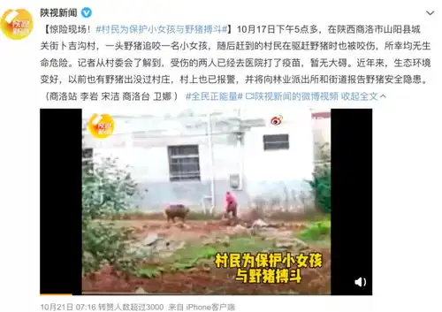 南京一野猪闯进医科大学,表情包疯传警方提醒