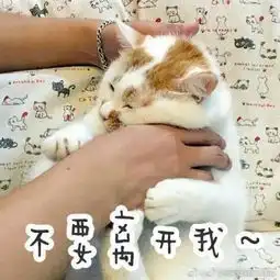 再见丨这个表情包今日起不会再有更新