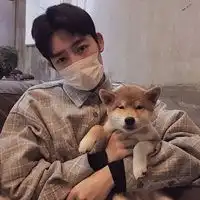 微信头像insins高级质感男生微信头像