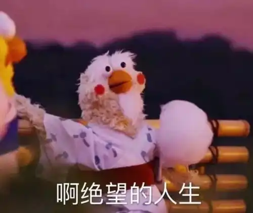 我能怎么办我也很绝望呀