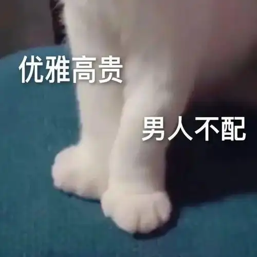 沙雕搞笑表情包不要试图和我讲道理,我就是道理