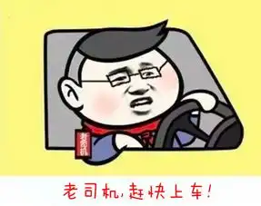 阁下若是老司机,那就赶紧上车即日出征