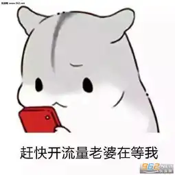 妻奴表情包妻奴夫控仓鼠表情包下载乐游网游戏下载