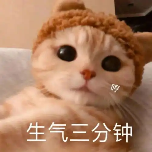 表情包都给我燃起来了