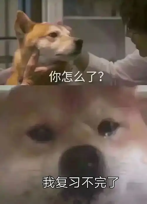 期末考试复习表情包,派送