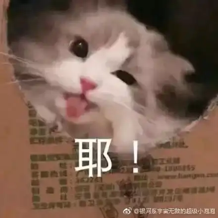 复习民法时,如何理出头绪宠他