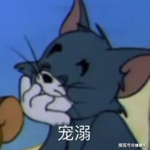 猫狗表情包图片你不是我对手
