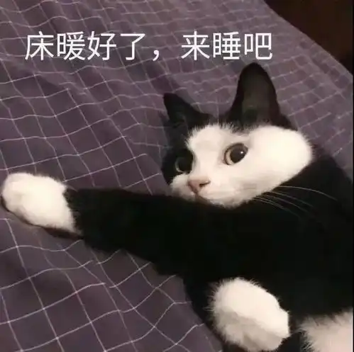 e个人momo地哭第236期喵表情