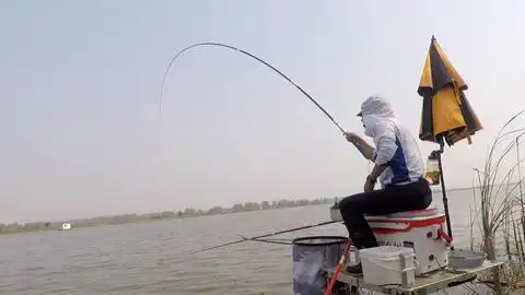实拍钓鱼人水库蹲守中大鱼