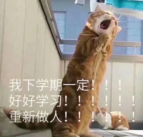 硬件小哥哥们为啥不修机了