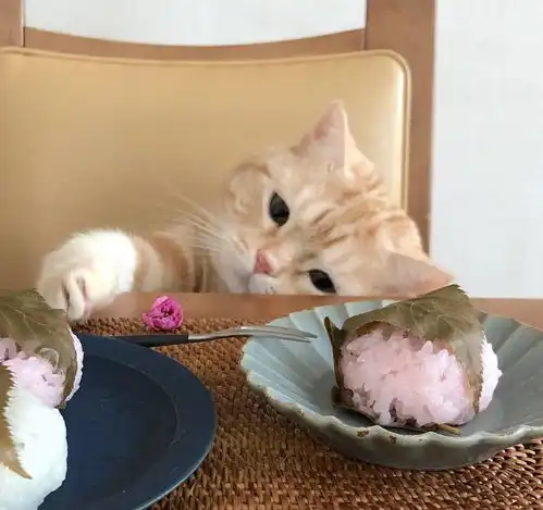 猫咪能自己辨别有害食物吗