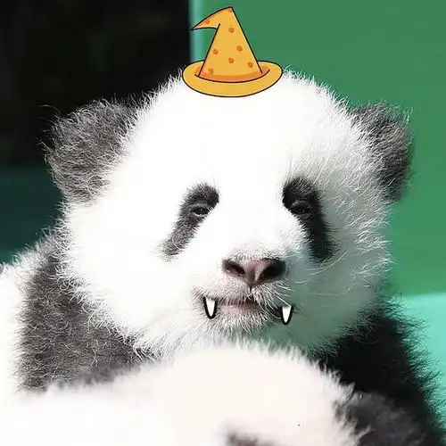 浠墨的相册大熊猫表情包