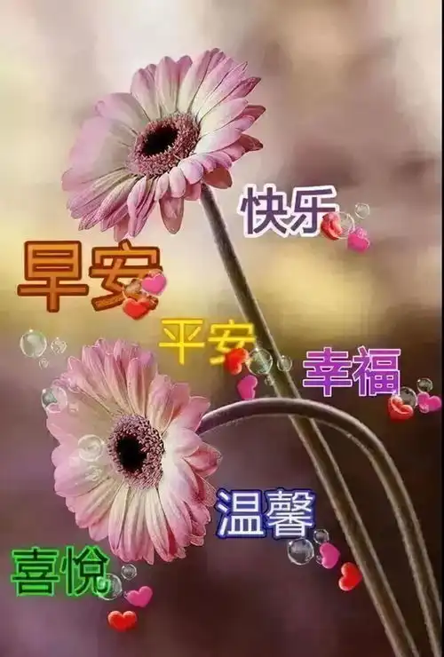 最新周日早安问候语表情包,早上好,天冷了,出去游玩记得保暖