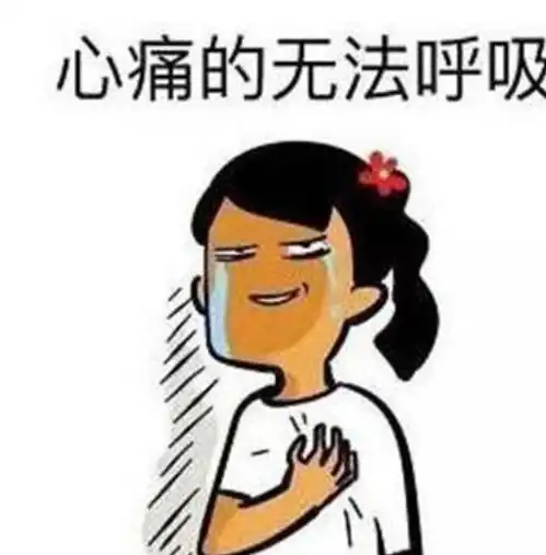家中泰迪难产,主人送去医院剖腹,看到一只小狗后却恼火了