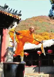 功夫尼姑尼泊尔坐禅习武欲让妇女更强大