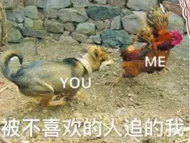 千万别让女友看见这套土鸡表情包,不然分分钟怼你没商量