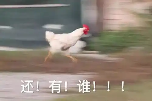 这就是国庆假期结束后我的生活状态,哈哈哈哈哈