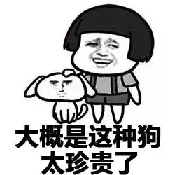 表情包因为单身狗只有一只,势力单薄