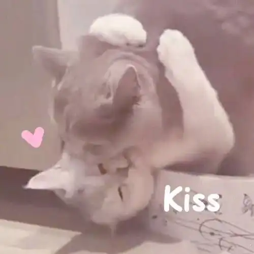 李斯特