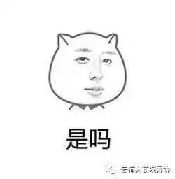 不,我就要你的表情包