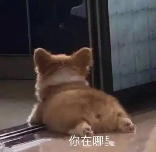 好玩沙雕表情包大全