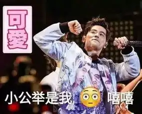 表情包强烈建议杰伦小公举开微博斗图