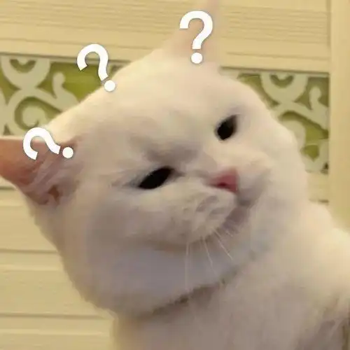 好看的头像壁纸集