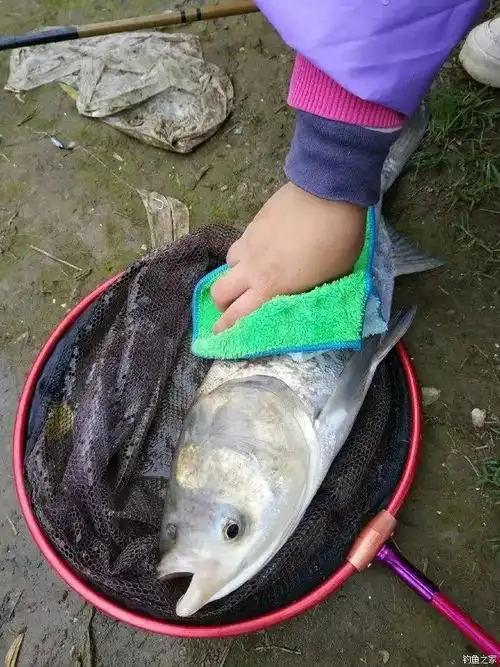 老婆嗜钓如命是种什么体验