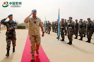 395名维和官兵被授予和平勋章