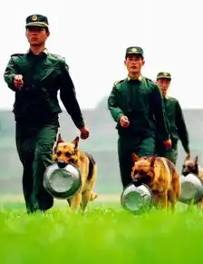 同志们,开饭了