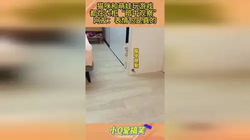 猫咪和萌娃玩游戏,都在衣柜暗中观察,网友表情包是真的