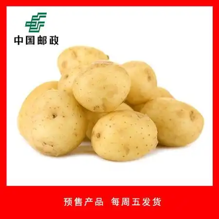 本地小土豆约3斤图片大全邮乐官方网站