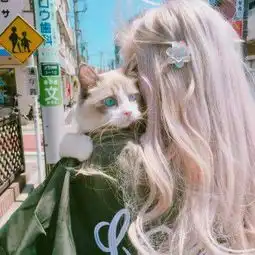 抱动物的漂亮女生微信头像可爱有点萌听说爱情是场谋杀