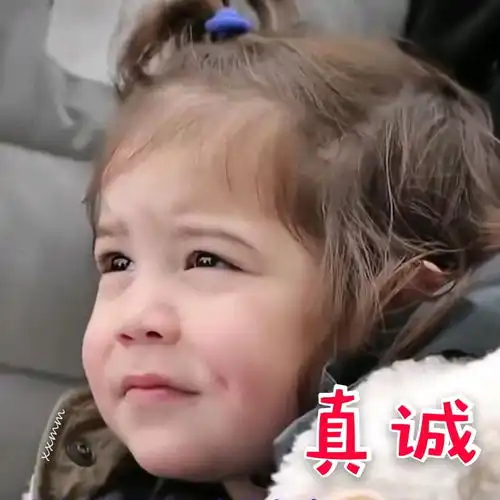 哔哩哔哩专栏