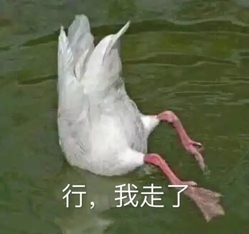 表情包打个火都是爱你的形状