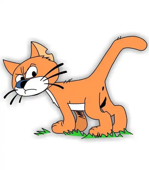 阿兹猫
