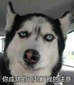 单身狗表情包伐开心,要抱抱