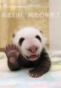 没有几张滚滚表情包,你好意思说想去偷只猫来养它一辈子