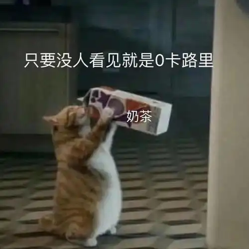少女的表情包仓库上新啦