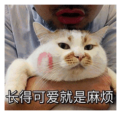 撩人专用亲亲表情