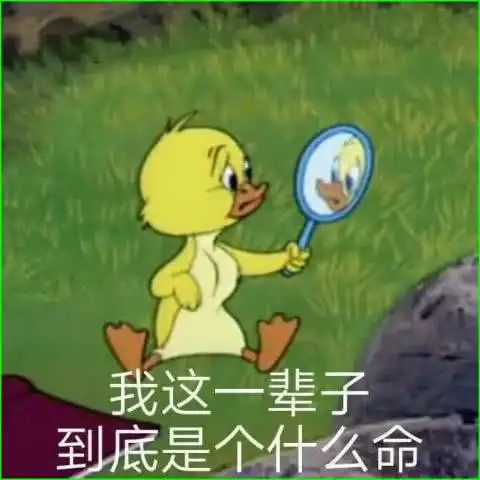 敲可爱的表情包,我这一辈子到底是个什么呀