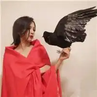 他是wifi唯独不对我开放