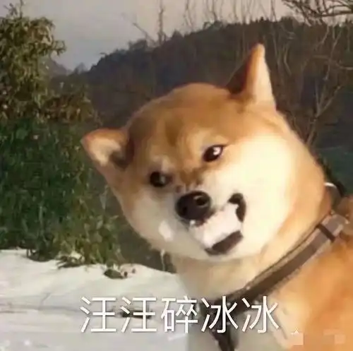 jms你们有没有聊着聊着就突然消失的朋友