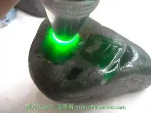 中国翡翠毛料欣赏与交流后江砍底高翠原料组图八