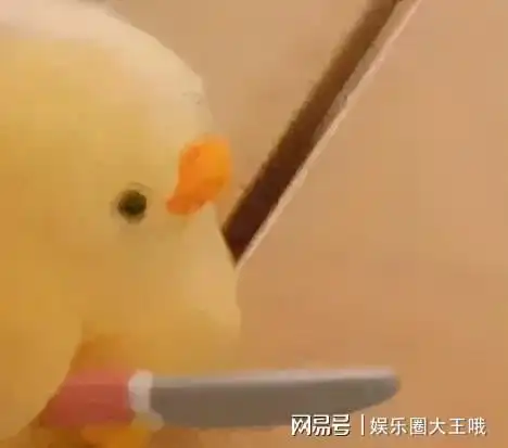 孙一宁和王思聪聊天表情包来咯,奉上原图,超级实用